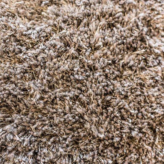 Shagpile Carpet